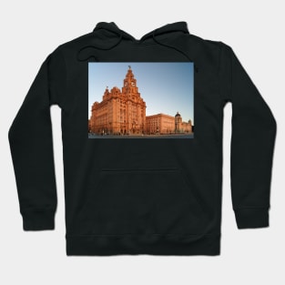 The Three Graces Hoodie